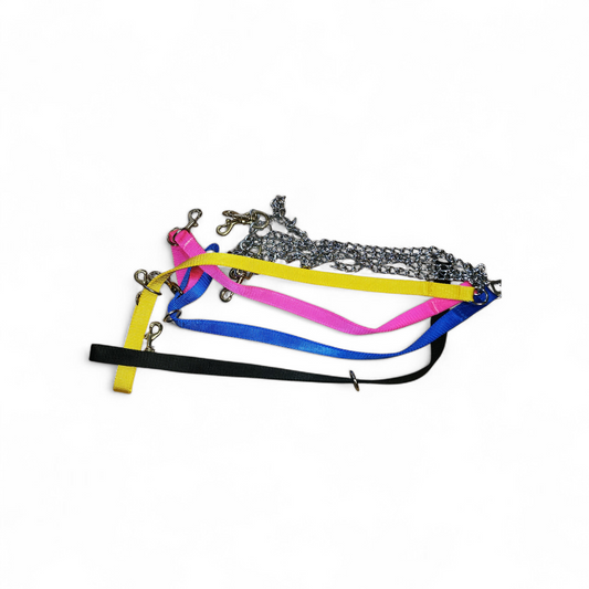 1" nylon lead with o-ring, chain & 2 snaps